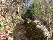 12 Dal prato fiorito il sentiero contenuto anche da muri a secco entra nel bosco 
